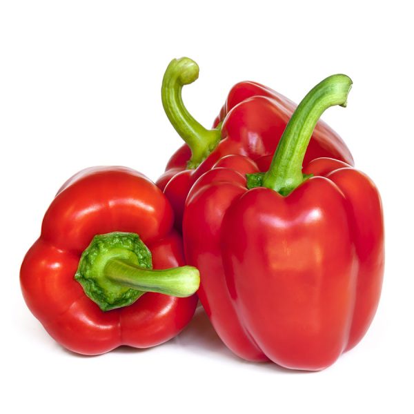 Capsicum - Red